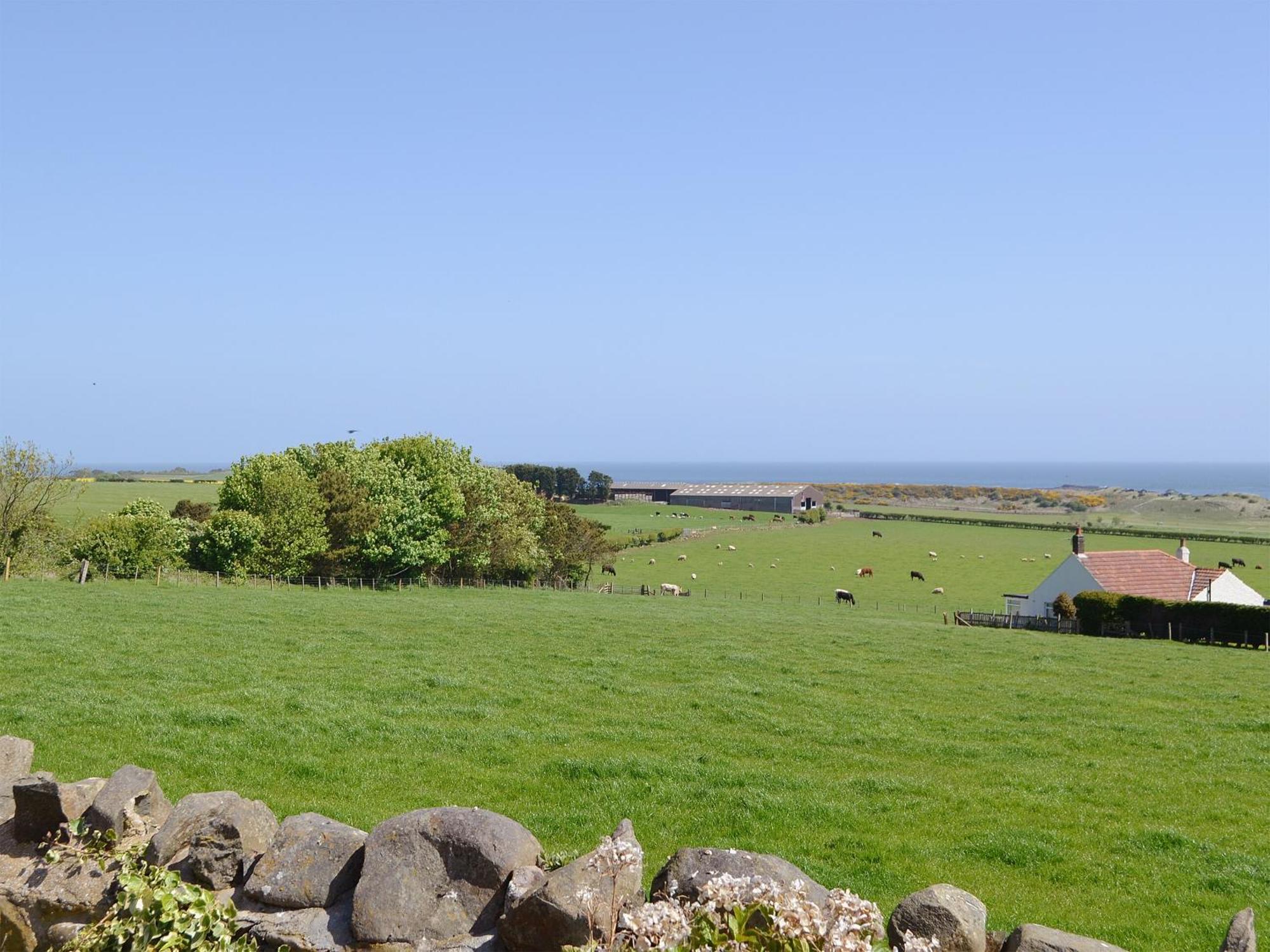 Eider Cottage Embleton  Exterior foto
